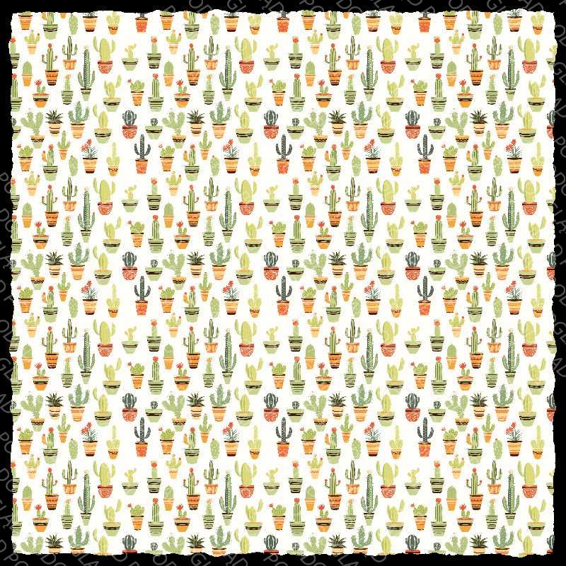 Cactus Pattern